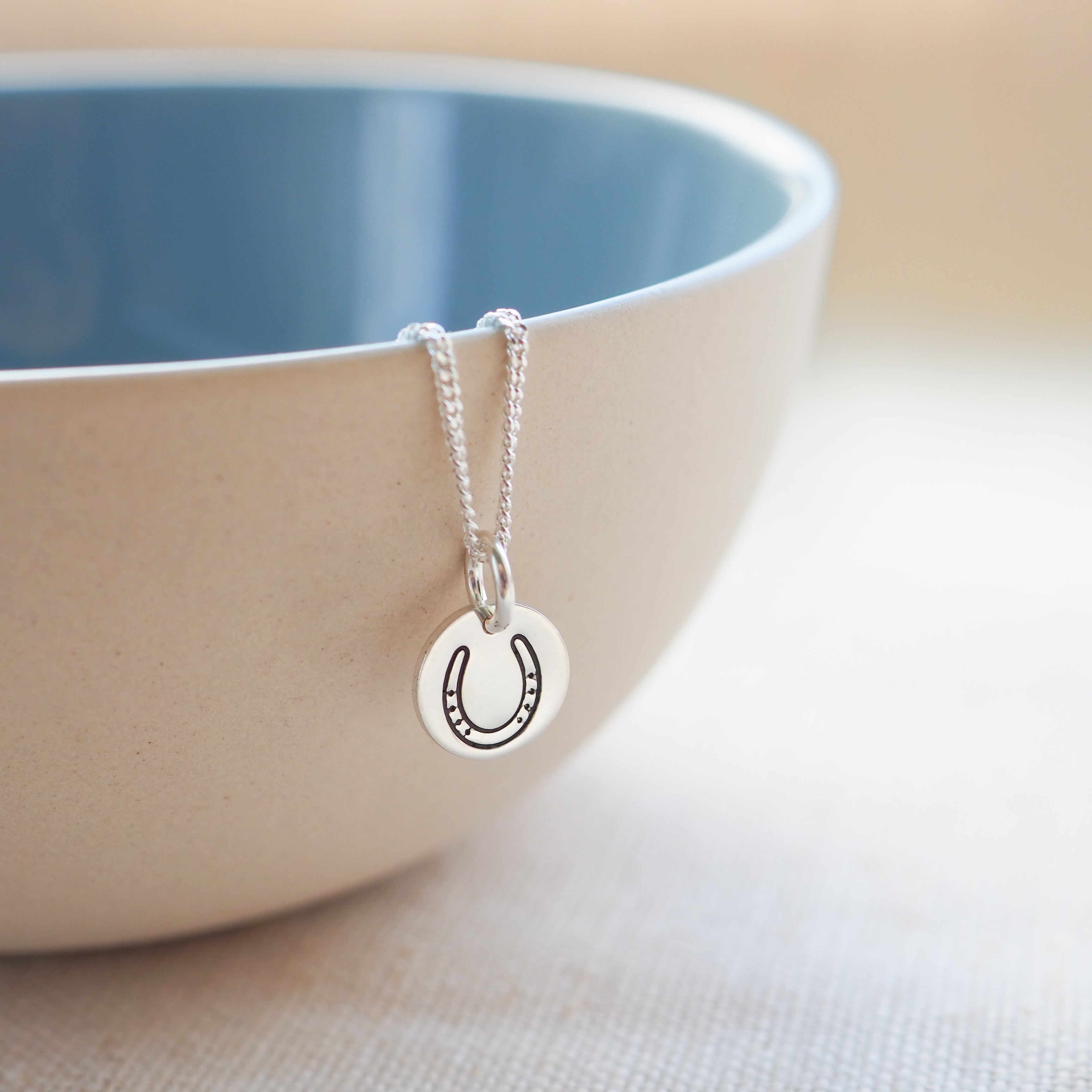 Silver Horseshoe Disc Necklace