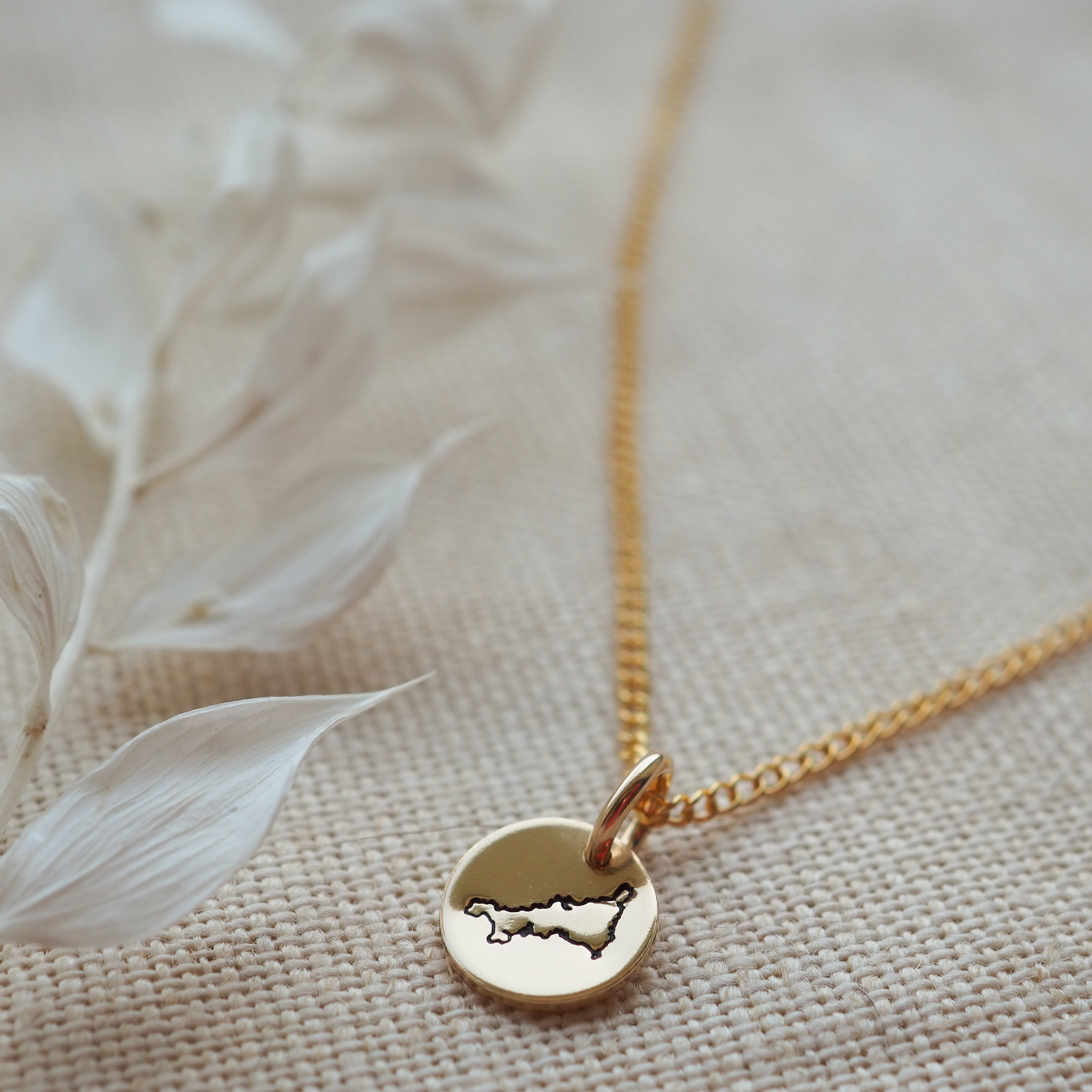 Cornwall gold mini disc necklace