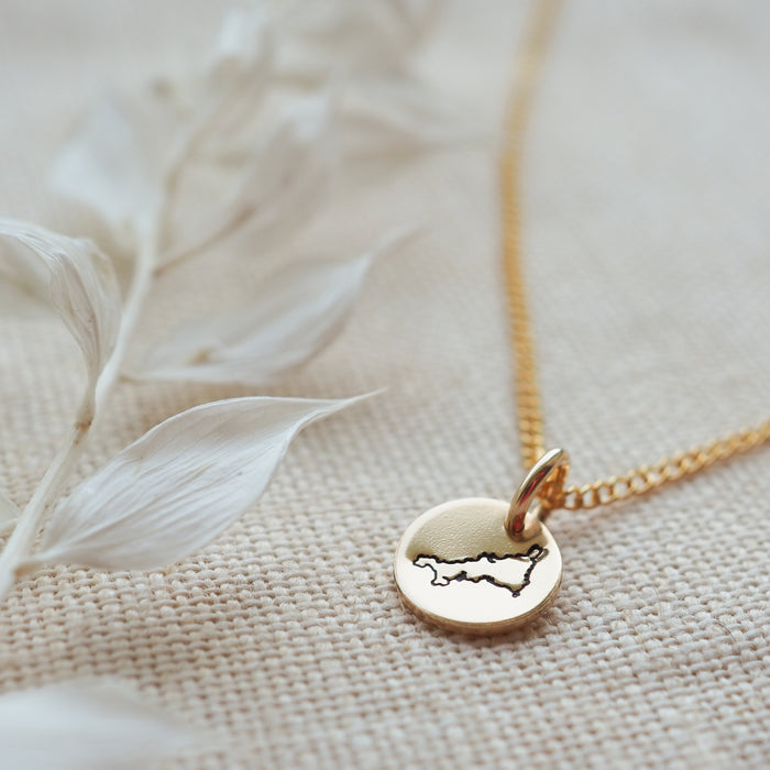 Cornwall gold mini disc necklace